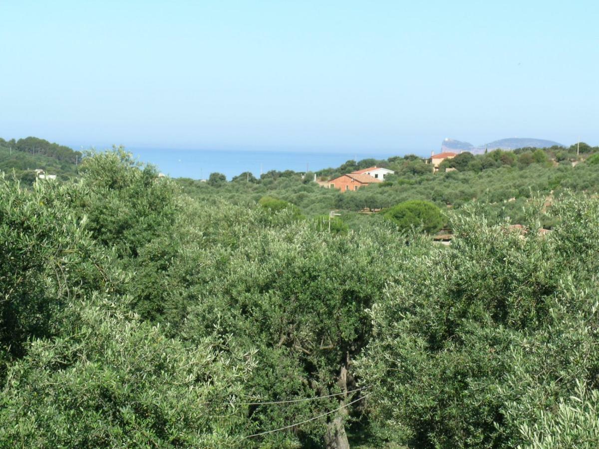 Villa La Scaletta Alghero Exterior foto